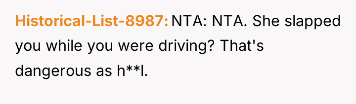 Historical-List-8987 NTA: NTA. She slapped you while you were driving?...