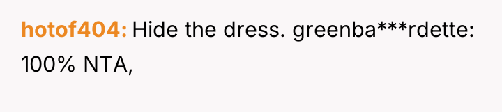hotof404 Hide the dress. greenba***rdette: 100% NTA,