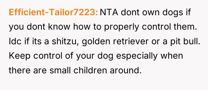 Efficient-Tailor7223 NTA dont own dogs if you dont know how...