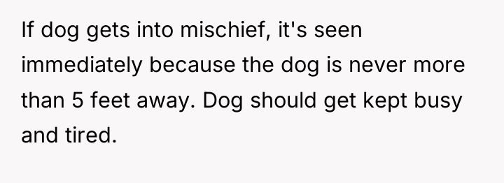 If dog gets into mischief, it's seen immediately because the...