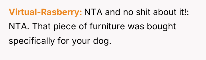 Virtual-Rasberry NTA and no shit about it!: NTA. That piece...