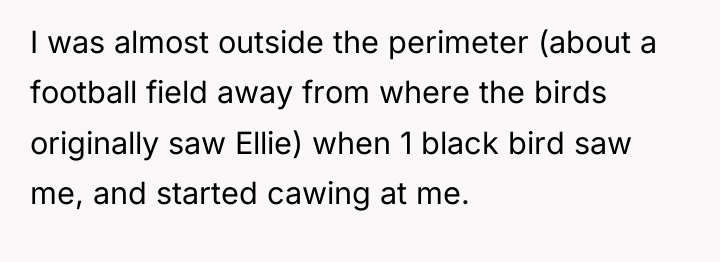 I was almost outside the perimeter (about a football field...