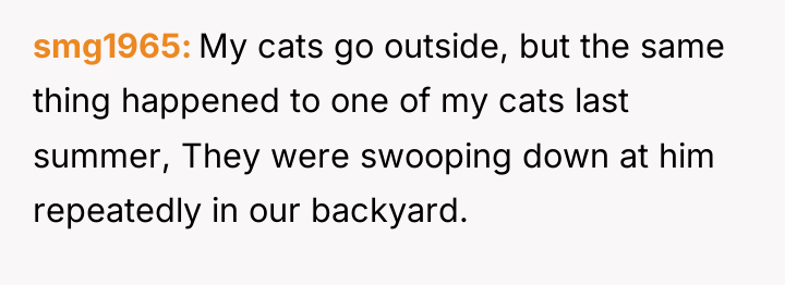 smg1965 My cats go outside, but the same thing happened...