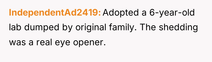 IndependentAd2419 Adopted a 6-year-old lab dumped by original family. The...