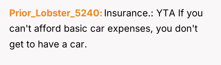Prior_Lobster_5240 Insurance.: YTA If you can't afford basic car expenses,...