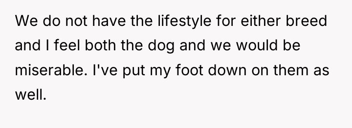 We do not have the lifestyle for either breed and...