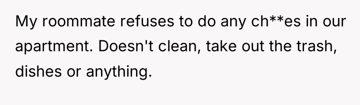 My roommate refuses to do any ch**es in our apartment....