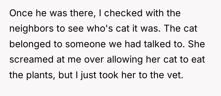 Once he was there, I checked with the neighbors to...