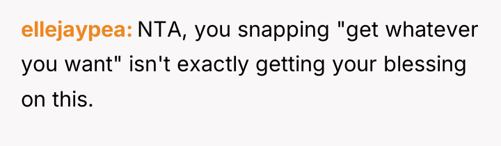 ellejaypea NTA, you snapping "get whatever you want" isn't exactly...