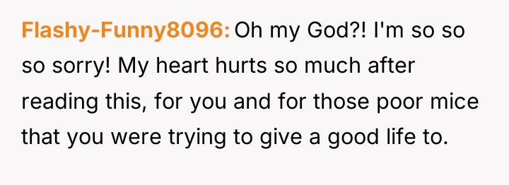 Flashy-Funny8096 Oh my God?! I'm so so so sorry! My...