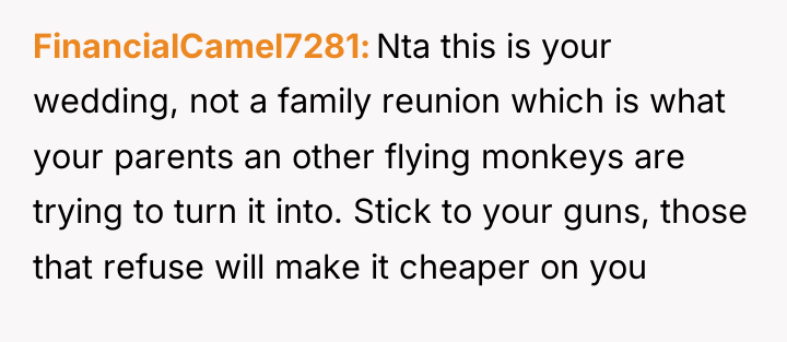 FinancialCamel7281 Nta this is your wedding, not a family reunion...