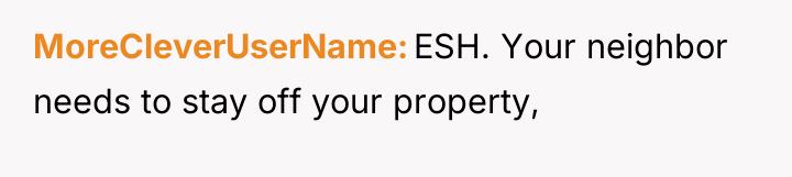 MoreCleverUserName ESH. Your neighbor needs to stay off your property,