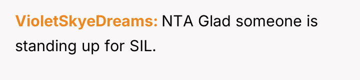 VioletSkyeDreams NTA Glad someone is standing up for SIL.