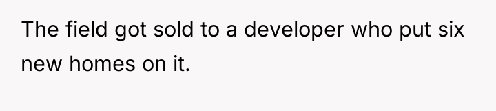 The field got sold to a developer who put six...