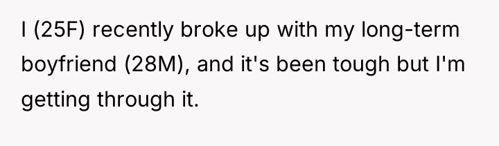 I (25F) recently broke up with my long-term boyfriend (28M),...