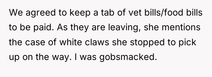 We agreed to keep a tab of vet bills/food bills...