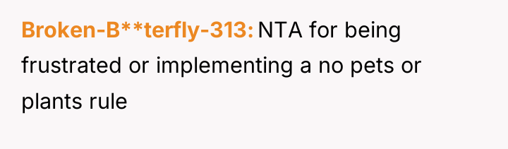 Broken-B**terfly-313 NTA for being frustrated or implementing a no pets...