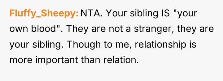 Fluffy_Sheepy NTA. Your sibling IS "your own blood". They are...