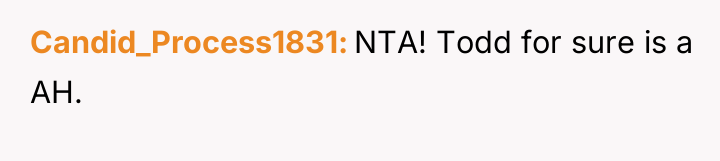 Candid_Process1831 NTA! Todd for sure is a AH.