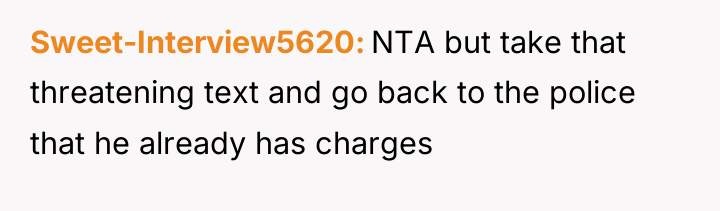 Sweet-Interview5620 NTA but take that threatening text and go back...