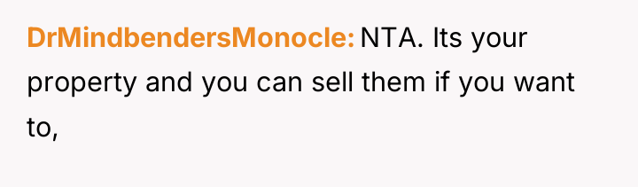 DrMindbendersMonocle NTA. Its your property and you can sell them...