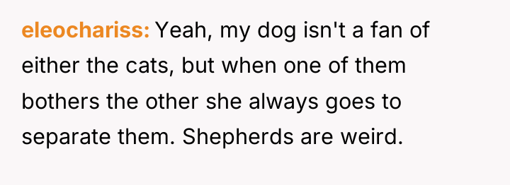 eleochariss Yeah, my dog isn't a fan of either the...