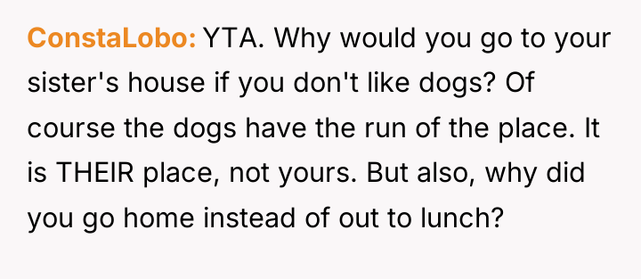 ConstaLobo YTA. Why would you go to your sister's house...