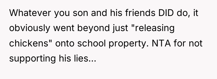 Whatever you son and his friends DID do, it obviously...
