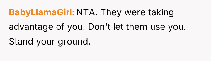 BabyLlamaGirl NTA. They were taking advantage of you. Don't let...