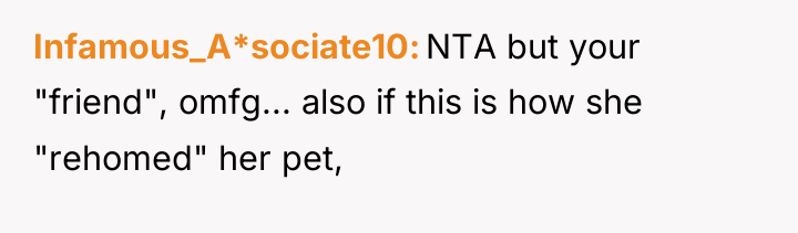 Infamous_A*sociate10 NTA but your "friend", omfg... also if this is...