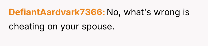 DefiantAardvark7366 No, what's wrong is cheating on your spouse.