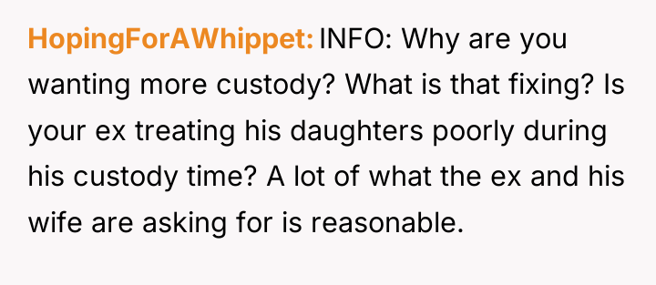 HopingForAWhippet INFO: Why are you wanting more custody? What is...