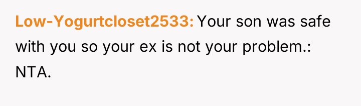 Low-Yogurtcloset2533 Your son was safe with you so your ex...