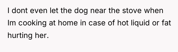 I dont even let the dog near the stove when...