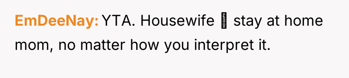 EmDeeNay YTA. Housewife ≠ stay at home mom, no matter...