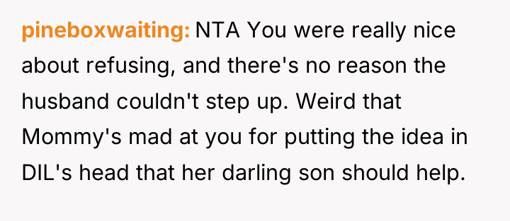 pineboxwaiting NTA You were really nice about refusing, and there's...