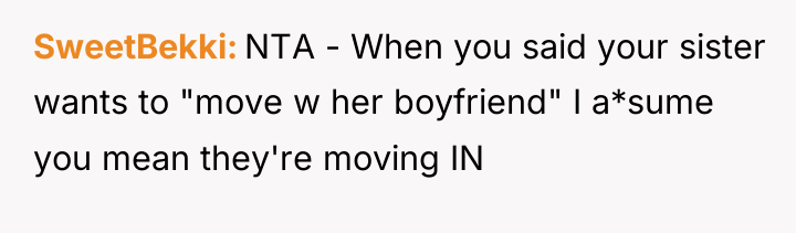 SweetBekki NTA - When you said your sister wants to...