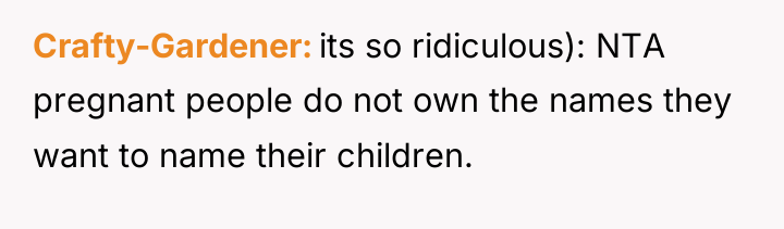 Crafty-Gardener its so ridiculous): NTA pregnant people do not own...