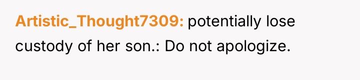 Artistic_Thought7309 potentially lose custody of her son.: Do not apologize.