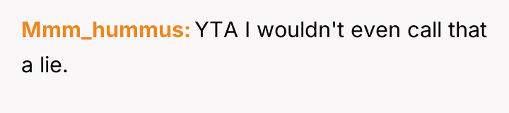 Mmm_hummus YTA I wouldn't even call that a lie.