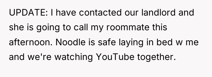 UPDATE: I have contacted our landlord and she is going...