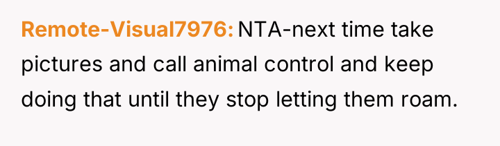 Remote-Visual7976 NTA-next time take pictures and call animal control and...