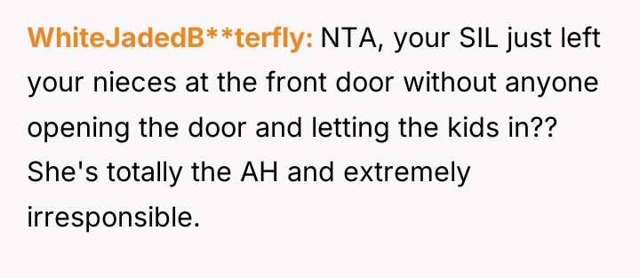 WhiteJadedB**terfly NTA, your SIL just left your nieces at the...