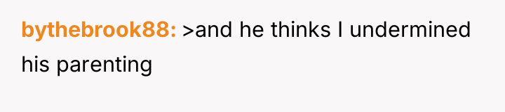 bythebrook88 >and he thinks I undermined his parenting