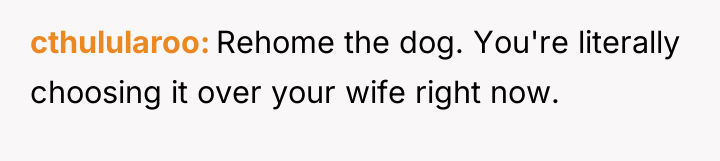 cthulularoo Rehome the dog. You're literally choosing it over your...