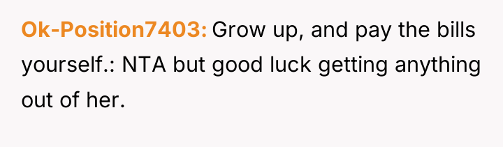 Ok-Position7403 Grow up, and pay the bills yourself.: NTA but...