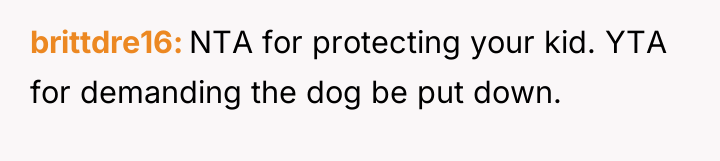 brittdre16 NTA for protecting your kid. YTA for demanding the...