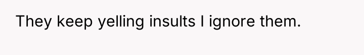 They keep yelling insults I ignore them.