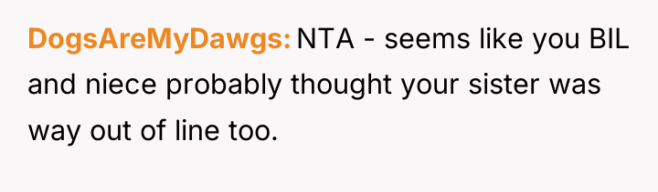 DogsAreMyDawgs NTA - seems like you BIL and niece probably...