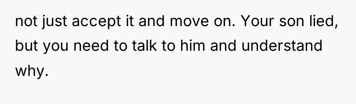 not just accept it and move on. Your son lied,...